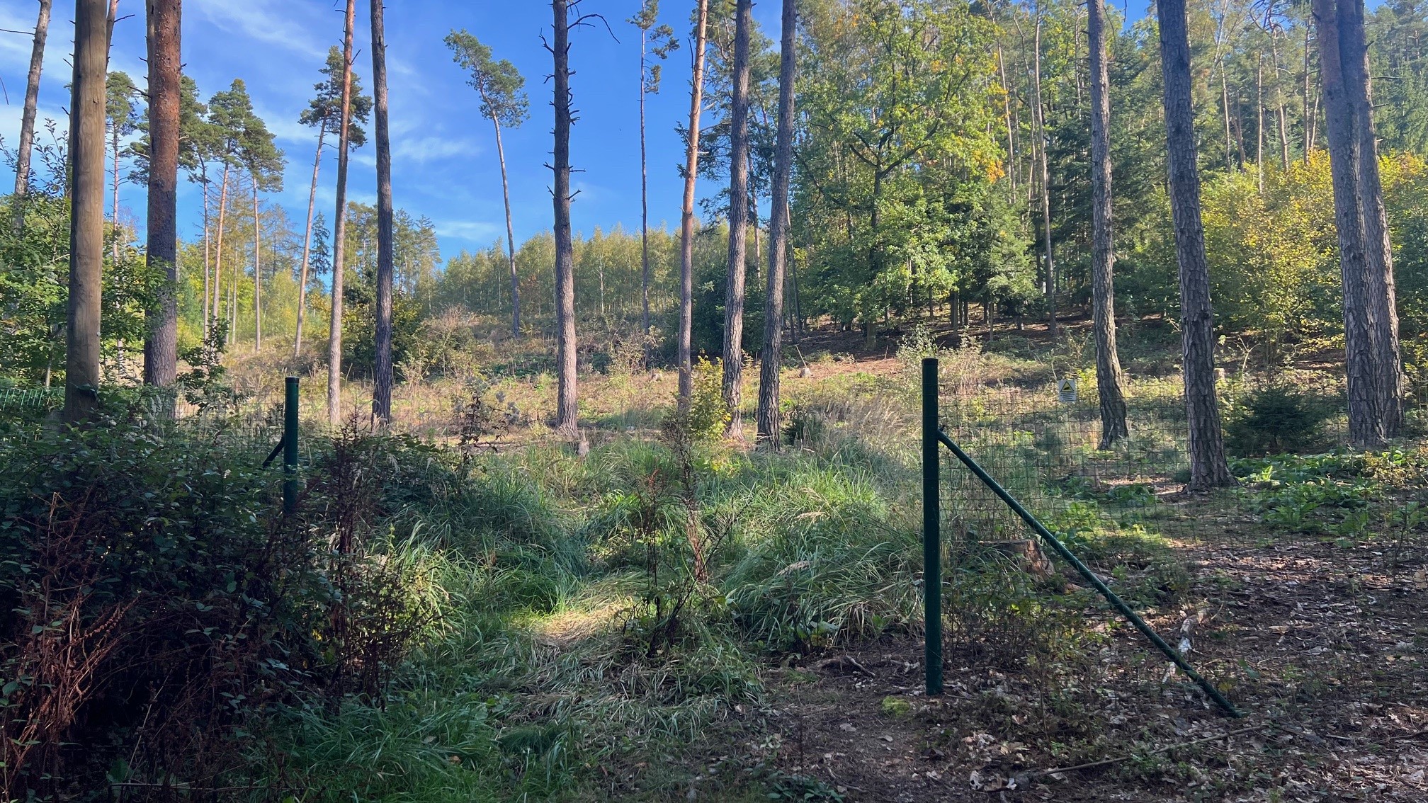 Prodej lesa 8586 m² Štěchovice – Masečín